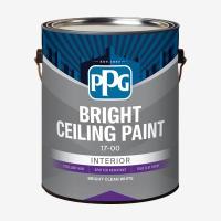 КРАСКА PPG  ПОТОЛОЧНАЯ PREMIUM CELING PAINT 17-45 /01 (3,78 л)